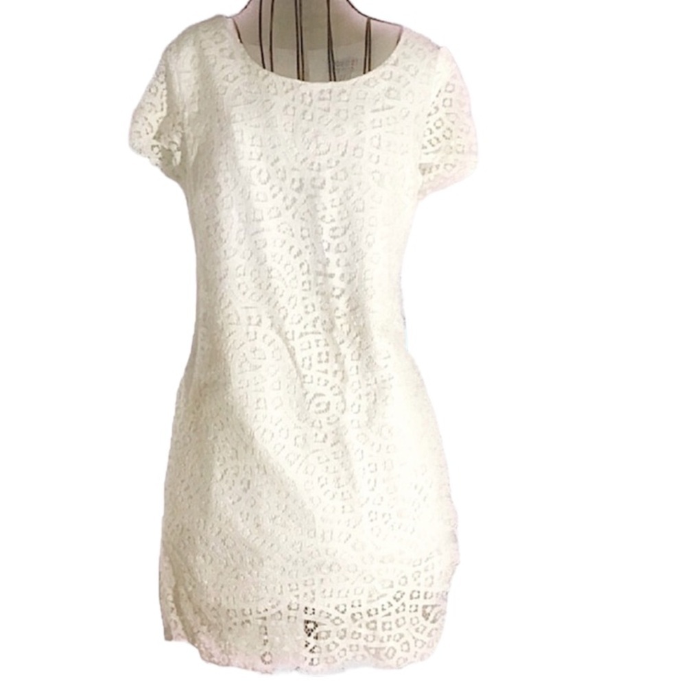 Forever 21 Essentials White Lace Easter Party Summer Cocktail Dress with Scallop